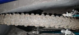 Bicicleta Globe Trotter Verde