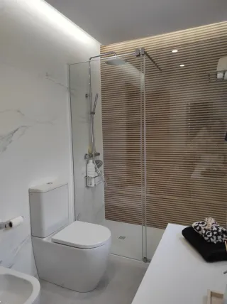 ALICATADOR PROFESIONAL Y ALBAÑIL