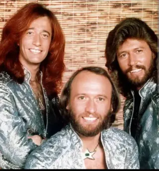 Disfraz Carnaval Bee Gees Plateado/Blanco