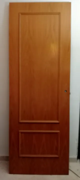 Puerta de madera con diseño panelado