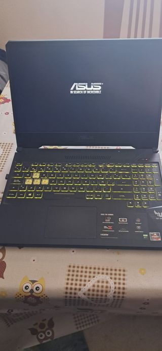 Portátil Asus TUF Gaming FX505DT.