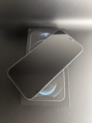 iPhone 12 Pro Max 256 GB