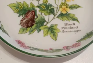 PLATO CON ASAS DE LA PORCELANA, ROYAL WORCESTER