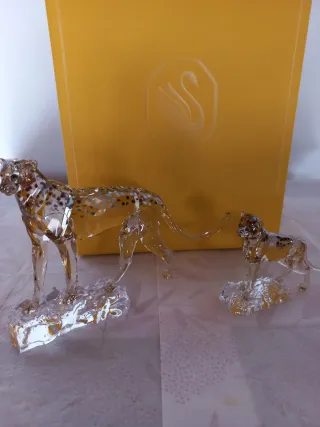 Guepardos Colección Anual 2023