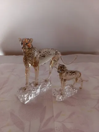 Guepardos Colección Anual 2023