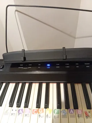 Teclado Electrónico con Soporte