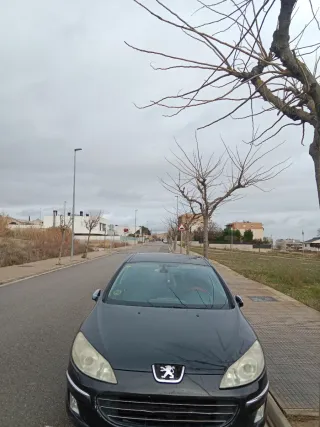 Peugeot 407 2006
