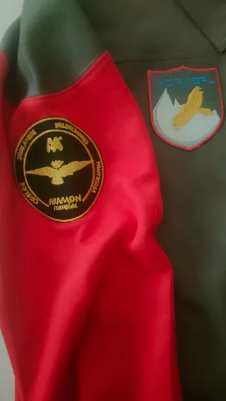 Jersey tipo Polo Esquí