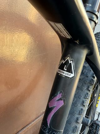 Bicicleta Specialized MTB carbono