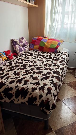 Somier y Colchón 1.10x2