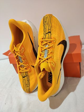 T47 Zapatillas Nike Pegasus Plus Lv8