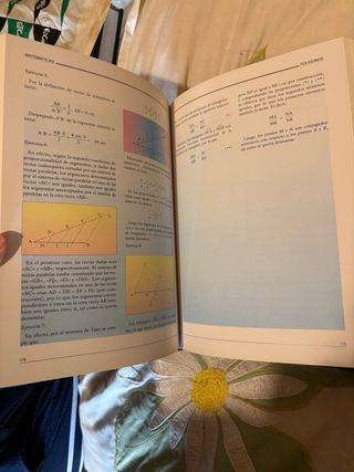 Ciancias matemáticas