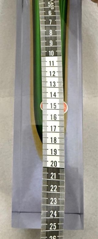 Vaso Murano F. Poli Sommerso Verde