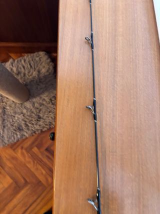 Caña de pesca Achilles S603