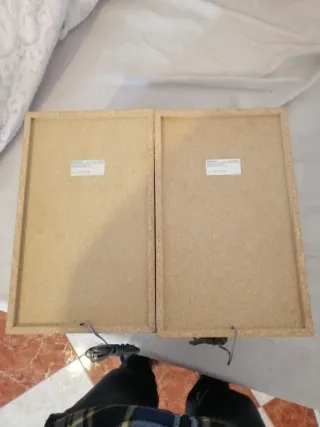 Altavoces 3 vias Sony SS-RG55