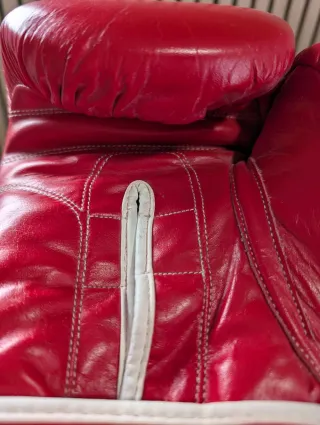 Guantes Boxeo Charlie The Insane 14 TNT