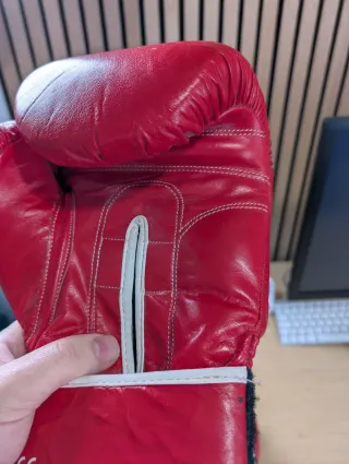 Guantes Boxeo Charlie The Insane 14 TNT