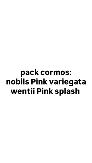 Pack Cormos Nobils Pink Variegata Wentii