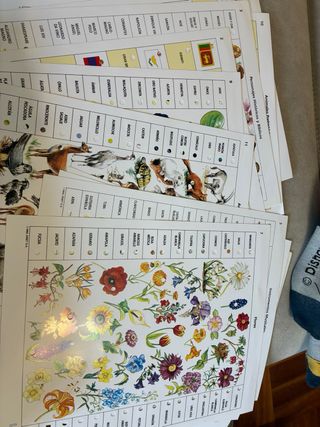 Juego Lectron Enciclopedia Ilustrada