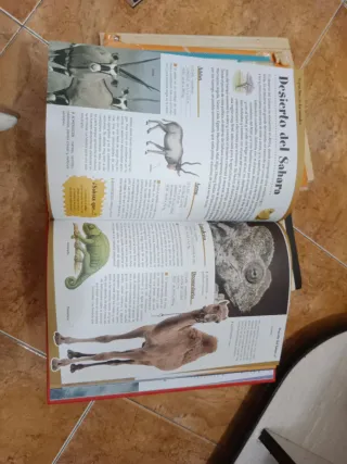 El gran libro de los animales