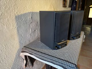 Altavoces Sanyo Dual Port Negros