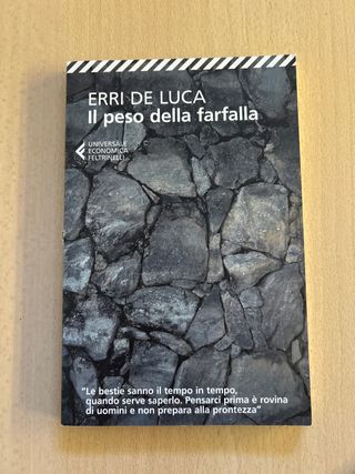 Il peso della farfalla (Italian Edition)
