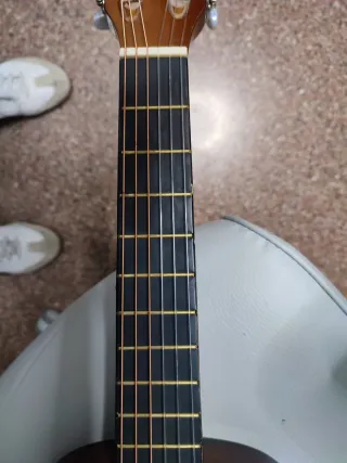 Guitarra Rocio Modelo C-611 Regalo de funda fucsia