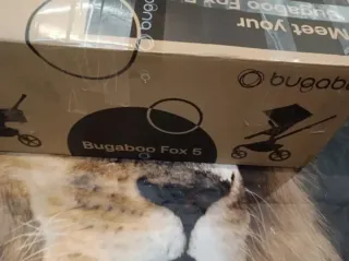 Bugaboo Fox5 Nuevo ULTIMA UNIDAD Capota a elegir!