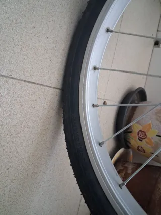 Bicicleta niña con ruedines