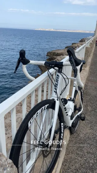 Bicicleta de carretera Giant XL