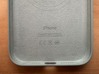 Apple iPhone 14 Pro Max Custodia in silicone succulento