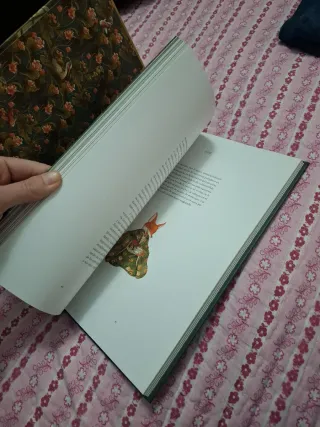 Espíritus y criaturas de Japón