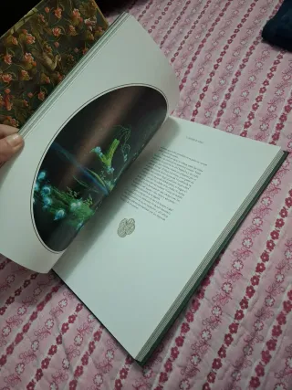 Espíritus y criaturas de Japón