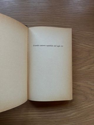 Juan Goytisolo - Fiestas