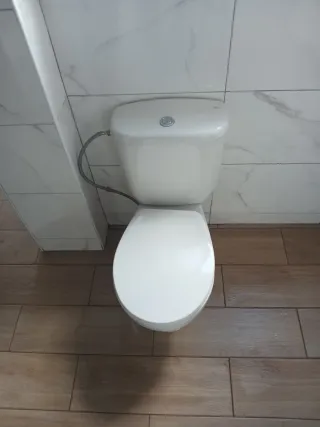 Inodoro de porcelana blanco