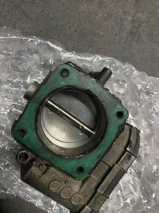 Cuerpo de mariposa 0280750036