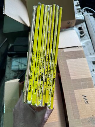 Coleccion Tintin editorial juventud