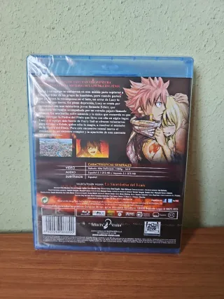 Fairy Tail La Película: La Sacerdotisa del Fénix B