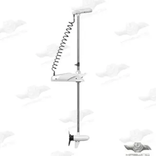 Motor Eléctrico Pulsar 24V GPS 183cm