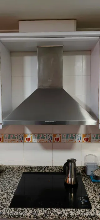 Horno y campana extractora.