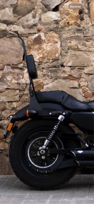 Sissybar Harley Davidson