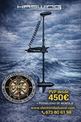 Motor Eléctrico Haswing 12V 137cm HE50700