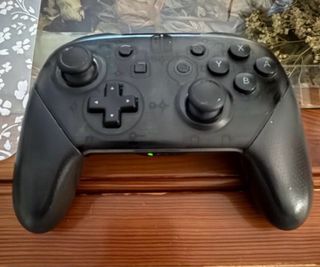 Mando Pro Nintendo Switch Negro