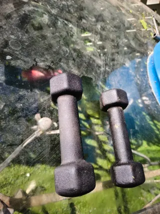 Pareja Mancuernas 1 kg