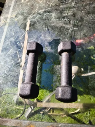 Pareja Mancuernas 1 kg