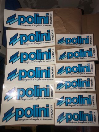 12 Pegatinas Polini