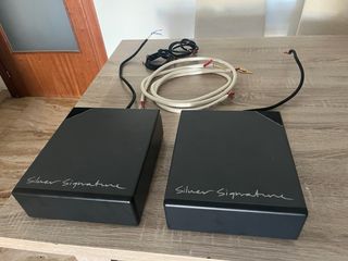 Bowers & Wilkins Signature 25 Altavoces