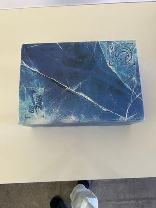 Scarpa Nike Dunk Low Viola