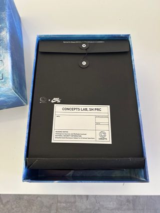 Scarpa Nike Dunk Low Viola