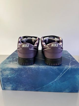 Scarpa Nike Dunk Low Viola